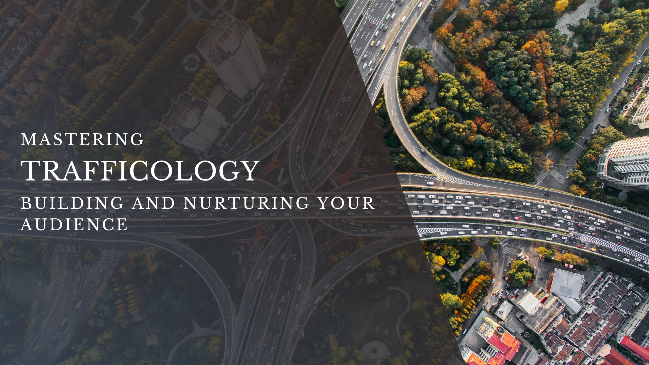 Mastering Trafficology: Building and Nurturing Your Audience